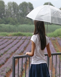 落雨的心情
