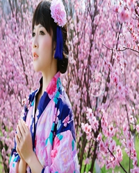陌上花如许，不见瑶芳开