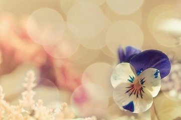 一掬清泉润竹心
