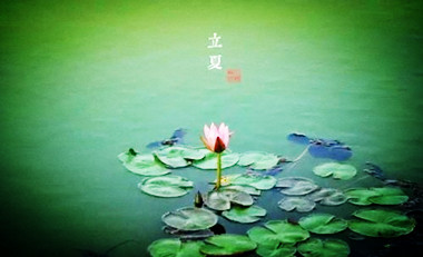 【东篱】立夏小景（七律外四首）