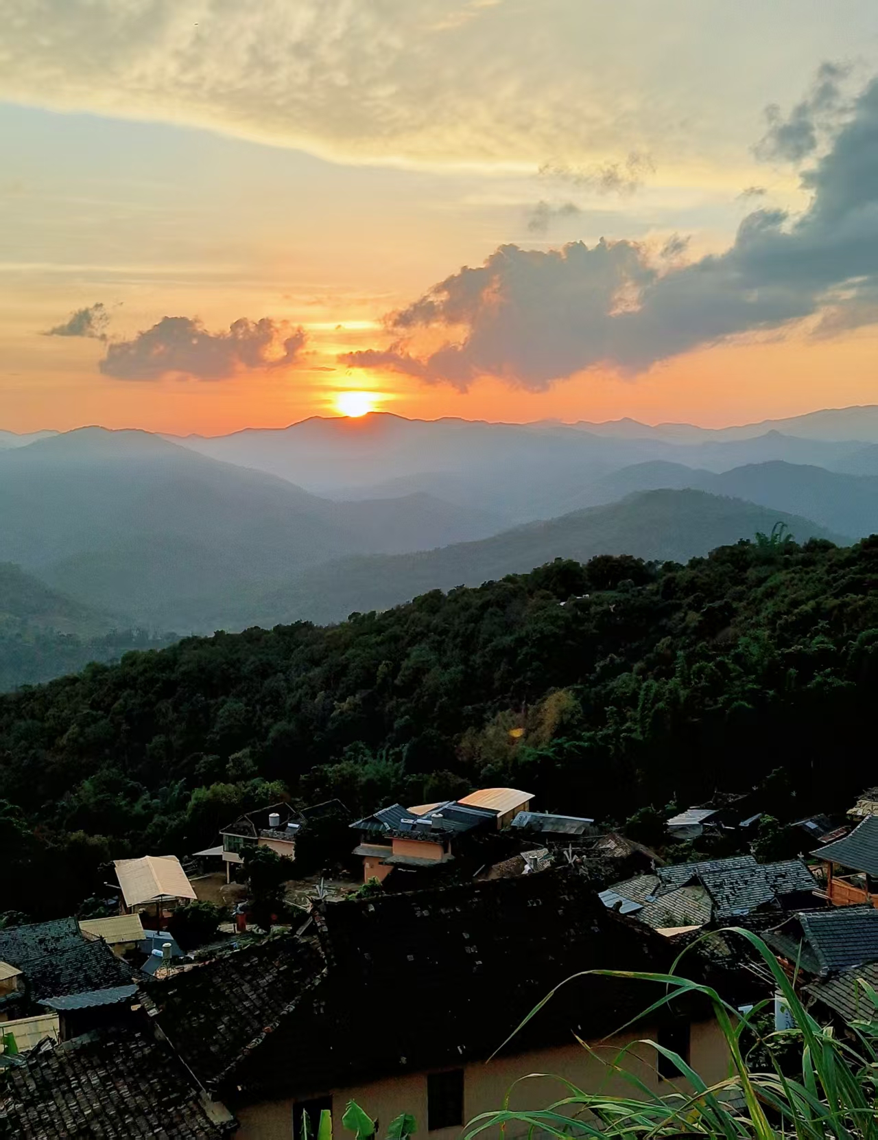 【云水】景迈山深处（散文）