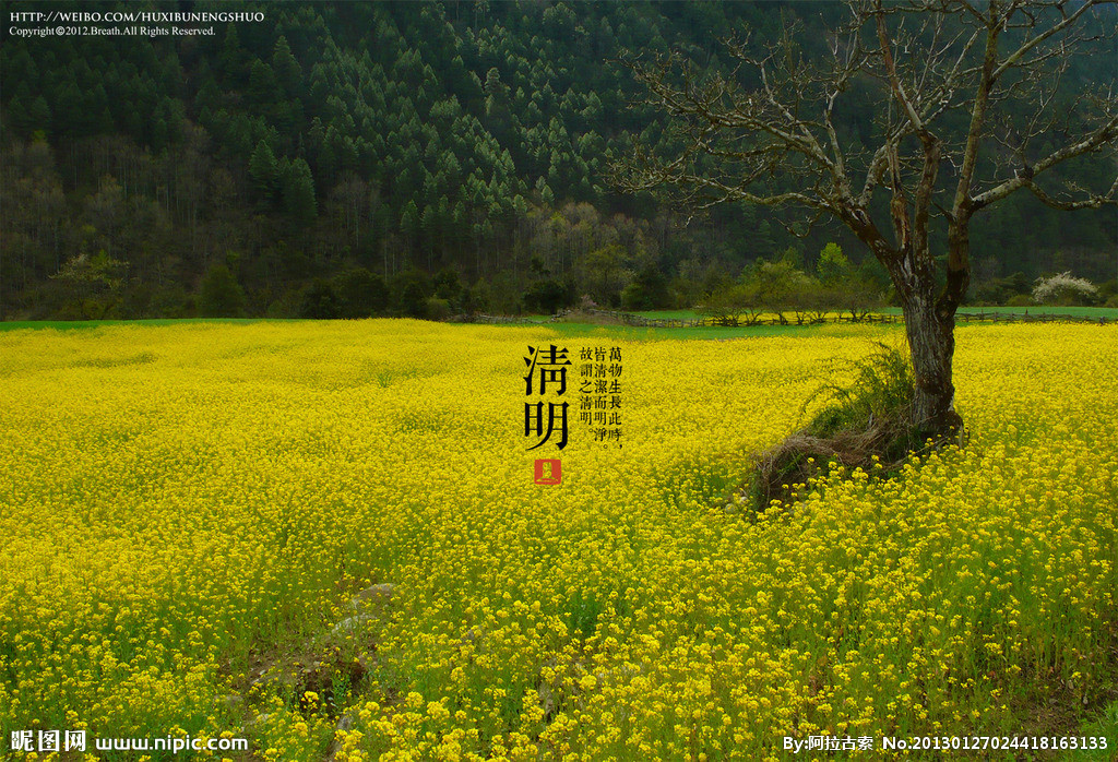 【丹枫】 清明节给天堂的父母（散文）