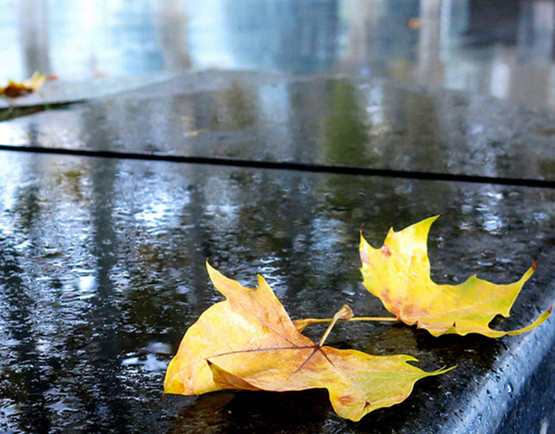 【西窗】雨水落到地上需要多久（外三首）