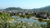 【流云】花开山村满地香（散文）
