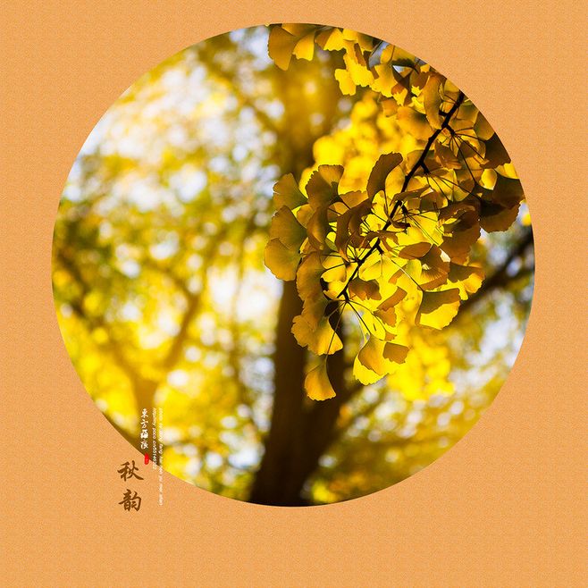 【南山】秋韵（散文）