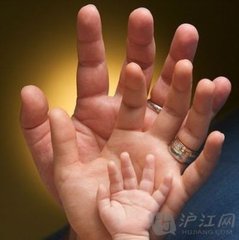 父母之爱（随笔）
