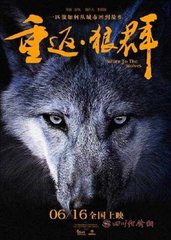电影《重返狼群》观后感（观后感）