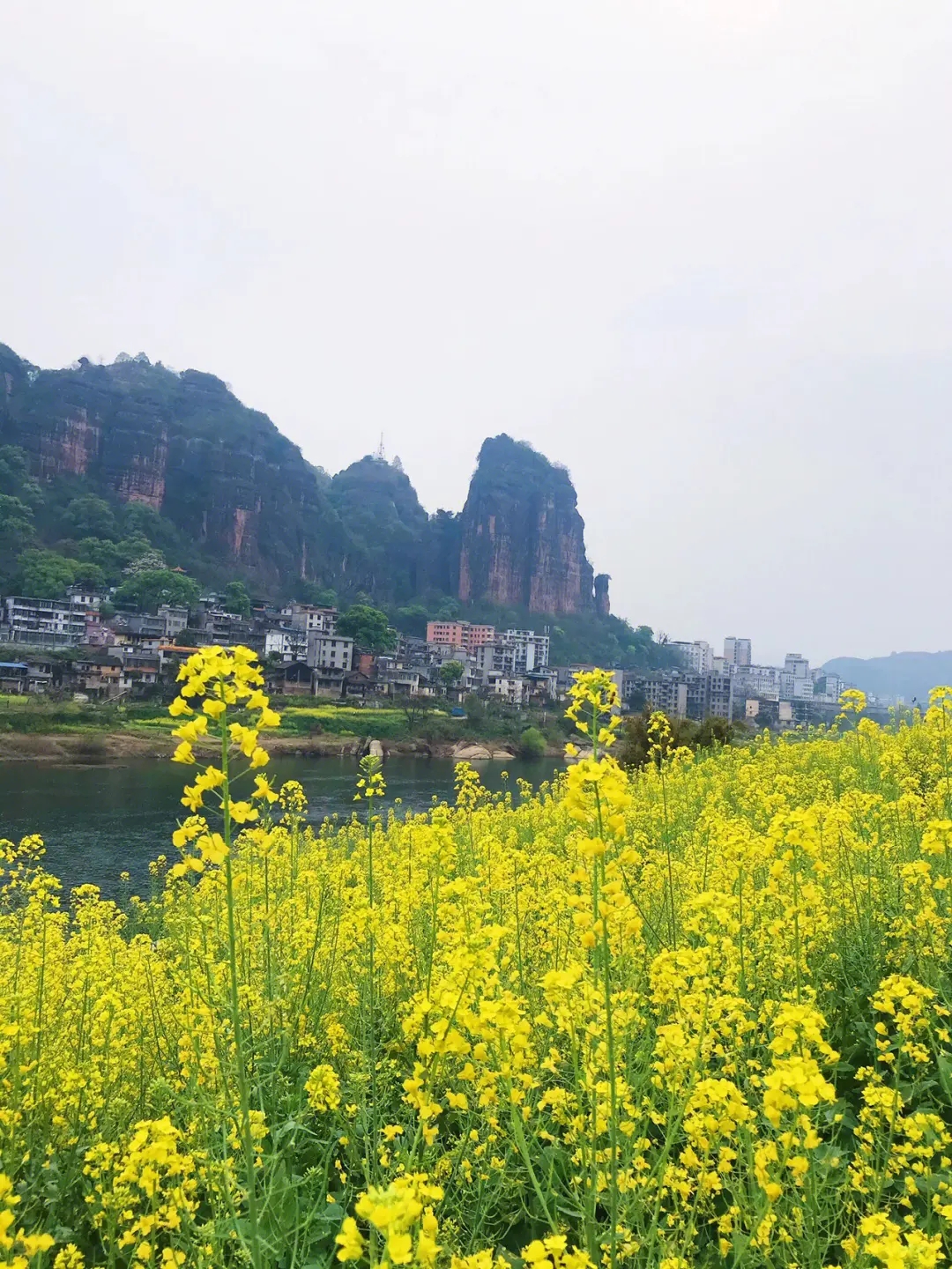 【文璞】花开时节(外一首)