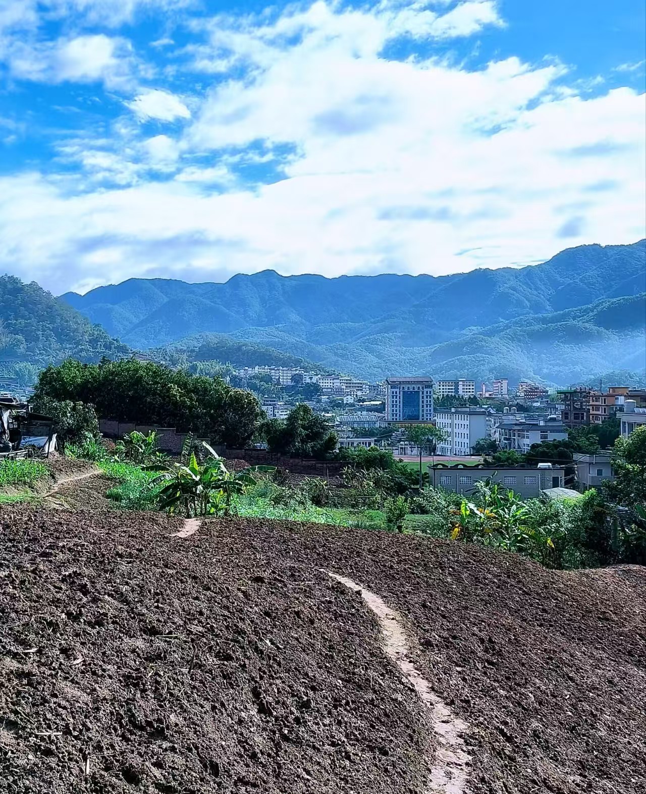 【文韵·情】行走在镇沅(散文)