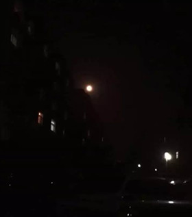 【柳岸】元宵夜，寒梅追月（随笔）
