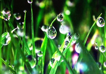 【江山宸光】晨露（大学组诗歌）