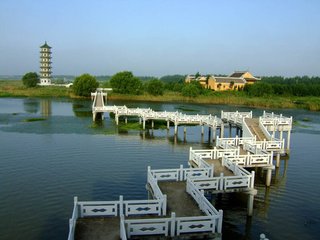 【荷塘】溱潼印象（散文）