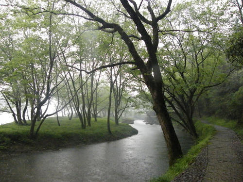 【丹枫】延河岸滩柳依依（散文）