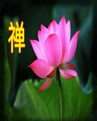 临水禅心