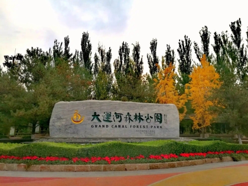 【心灵】游大运河森林公园（散文）