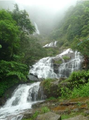 【八一】忆大容山之旅（散文·家园）
