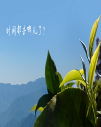 似水流年