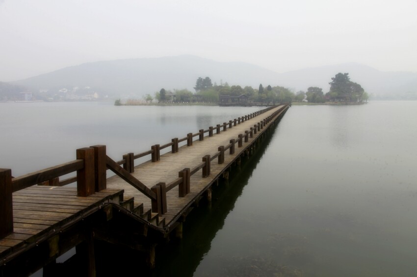 【丁香收获】彼岸（诗歌）
