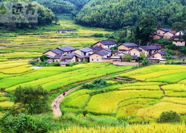 【八一】收获（外一篇·家园）