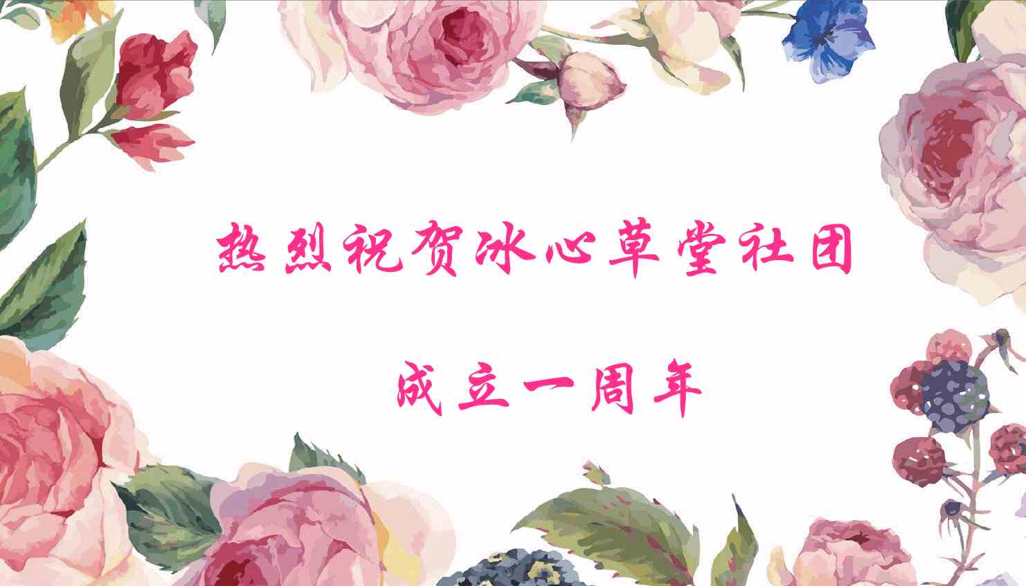 【冰心】栖息“冰心草堂”（随笔）