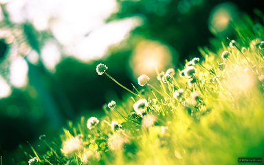 【江山宸光】拾荒老人托举起秋天（中学组散文）