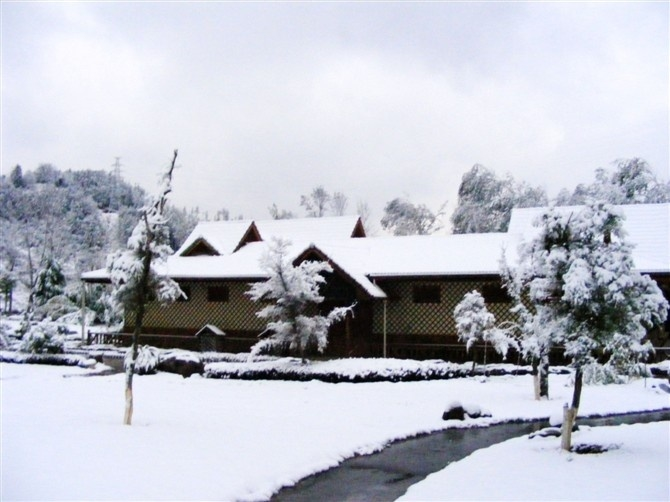 【荷塘“冬之恋曲”征文】家乡的雪景（散文）
