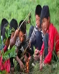 想起儿时的烧烤（散文）