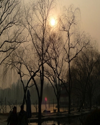灿烂阳光 吾心向往
