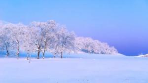 【八一】写给雪的文字（散文）