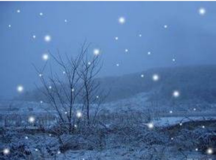 【八一】雪在落（外三首.家园）