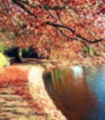 【浪花·感动】芳华易逝，道声珍惜（散文）