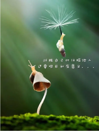 【萌芽】我是大赢家（记叙文）