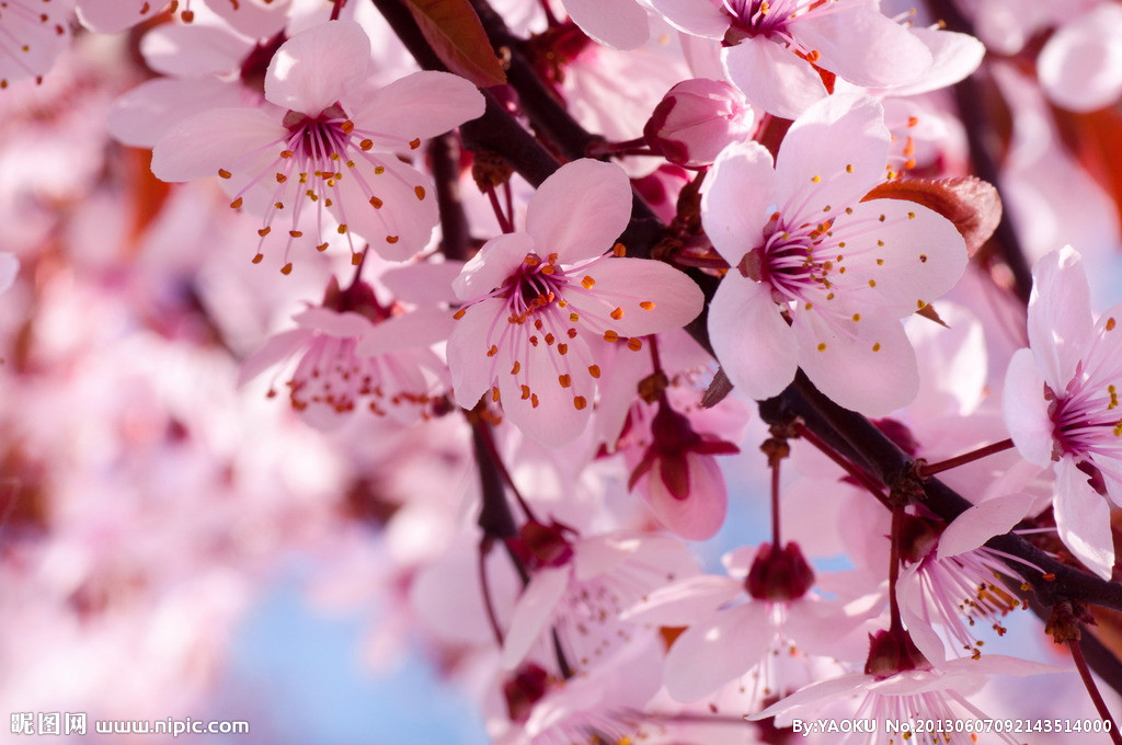 【丁香花开】四月，在尘世里拾取幸福（散文）