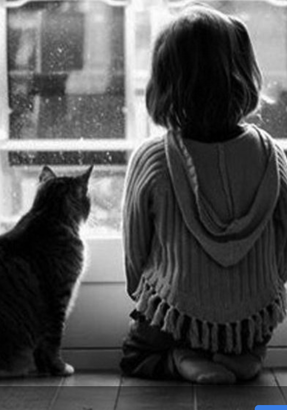 【八一】编辑记者的社会担当（随笔·旗帜）