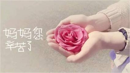 【江山宸光】守（中学组小说）