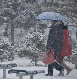 【八一】雪中情（散文·家园）