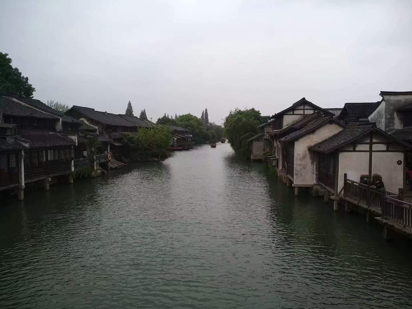 【流年】乌镇的春蚕思念（散文）