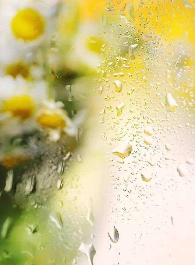 【江南】烟花三月，花落知多少（散文）