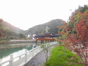 【八一】我的家乡：柳宅村（随笔·家园）