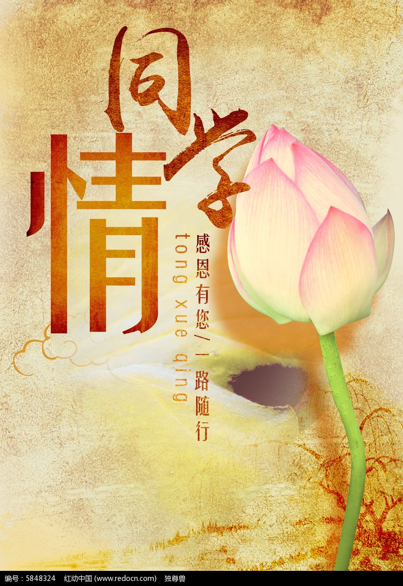 【清韵】缘来就是分不开（散文）