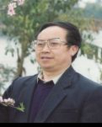 【十年江山情】江山的五年，我乐在其中（散文）