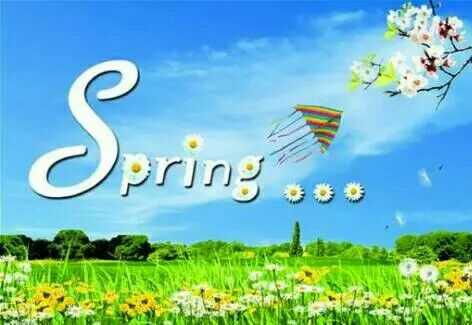 【轻舞】Spring春天（诗歌）