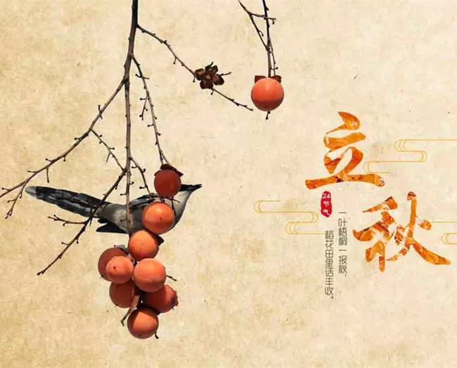 【八一】时令之趣——立秋（散文）