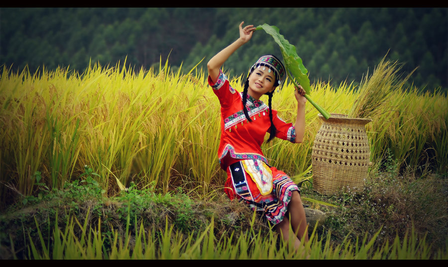 【丁香•祝福祖国】难忘年年稻花香(散文)