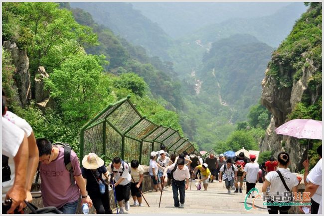 【丁香•祝福江山】登 岳（散文）