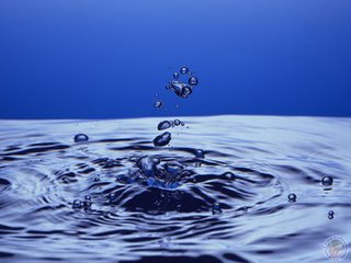水（想象作文）