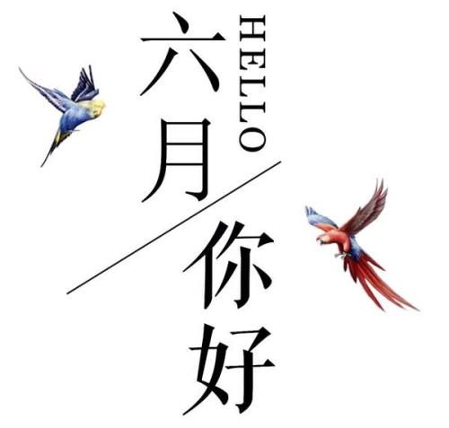 【八一】六月的怀想（散文）