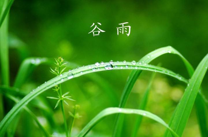 【八一】谷雨（外三首）