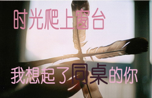 【丁香花语】同桌（散文）