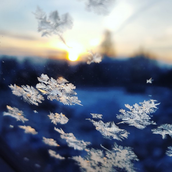 【八一 】雪花花絮（外一首）